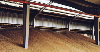 W Gdańsku ma powstać terminal produktów rolno-spożywczych