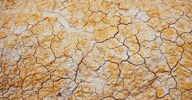 Rumunia: Susza na Dunaju blokuje transport